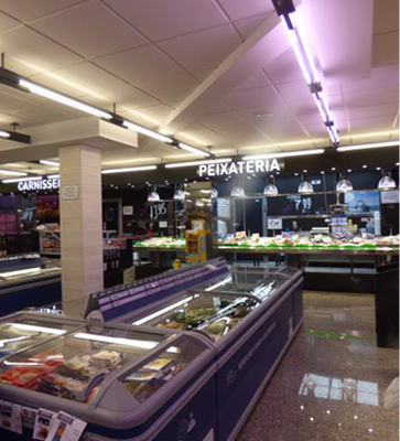 _image - 2026-03-16T081243.498