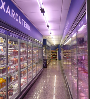 _image - 2026-03-16T081254.439